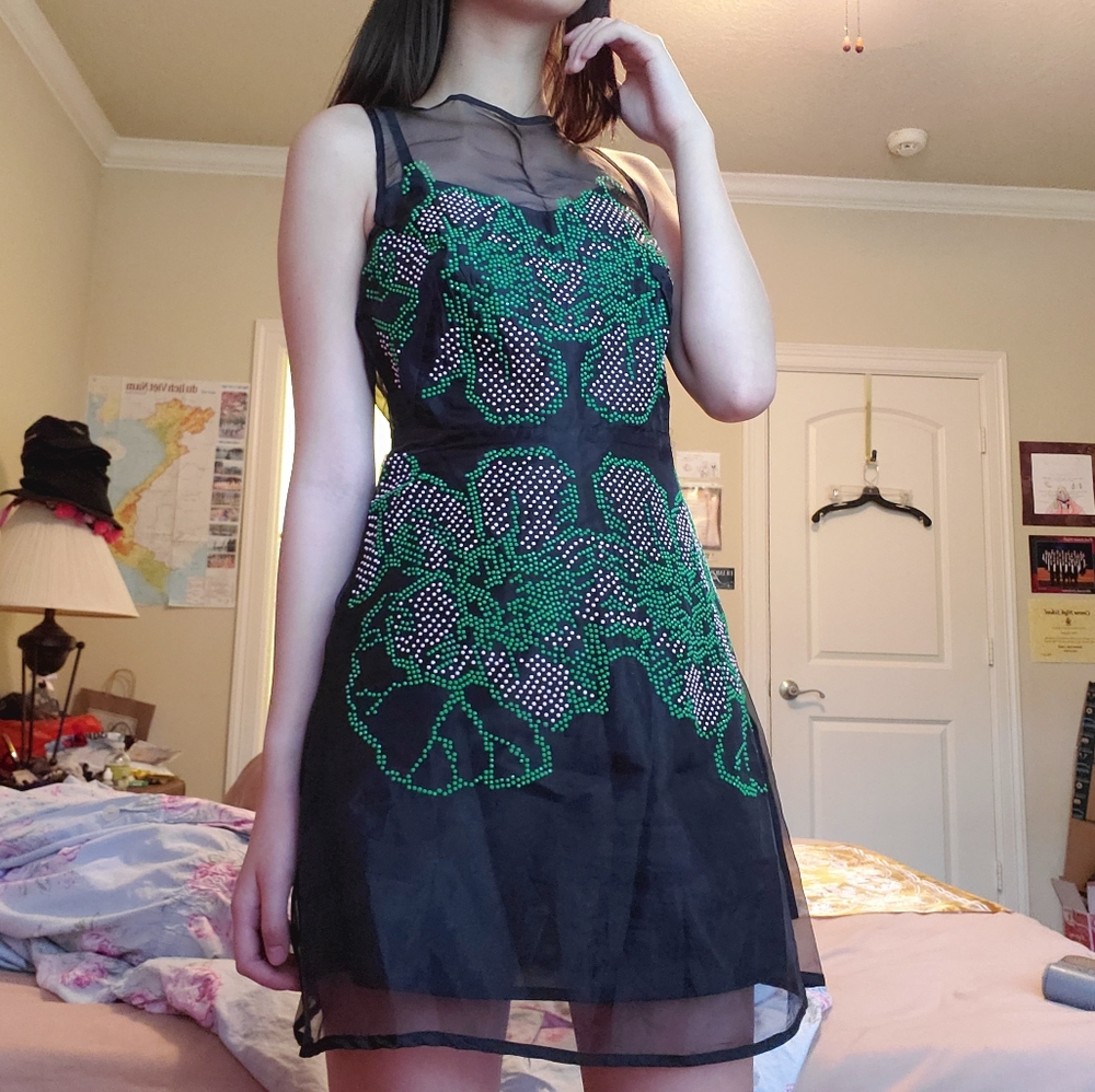 Lace Panel Dress